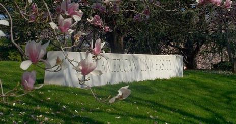 AU Sign Spring